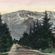 Illustration for article titled Christmas Tree Lane Hosts The Oldest Holiday Display In The World